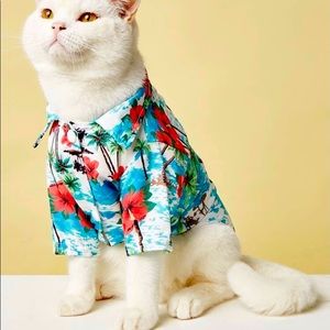 Floral Cat Shirt